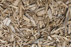 biomass boilers Lipley